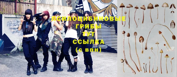 apvp Аркадак