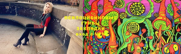 гидропоника Армянск